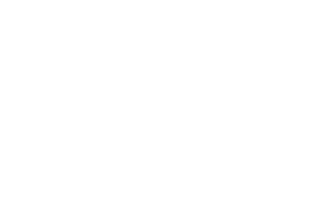 transparent skinology Logo
