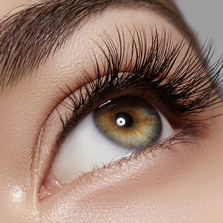 close up of woman's eye showing lashes and brows